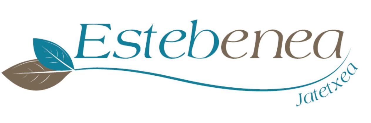 estebenea's profile banner image