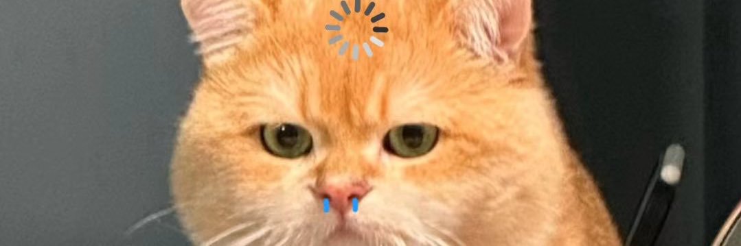 enuyacha's profile banner image
