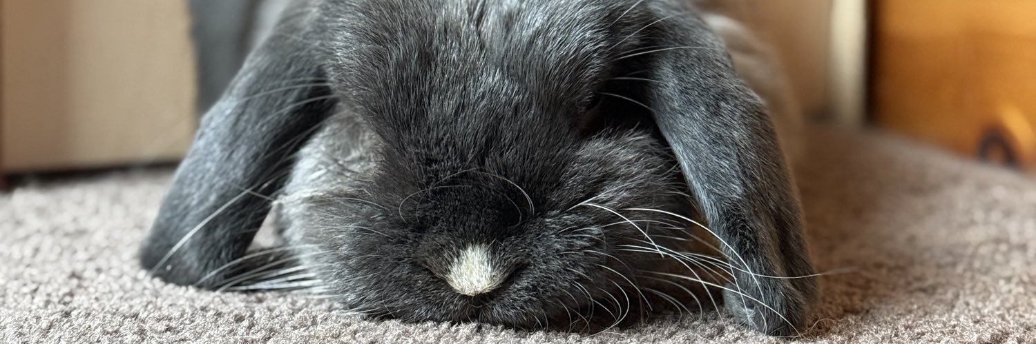 cleepeet's profile banner image