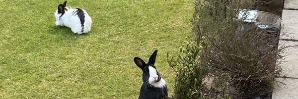 heverb Profile Banner