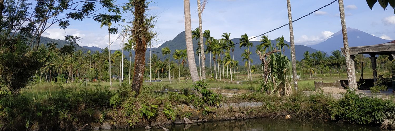 buyuank's profile banner image