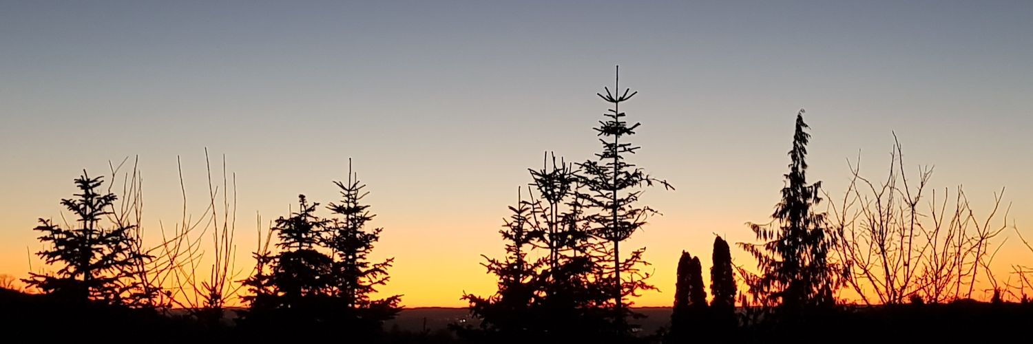 beandev's profile banner image