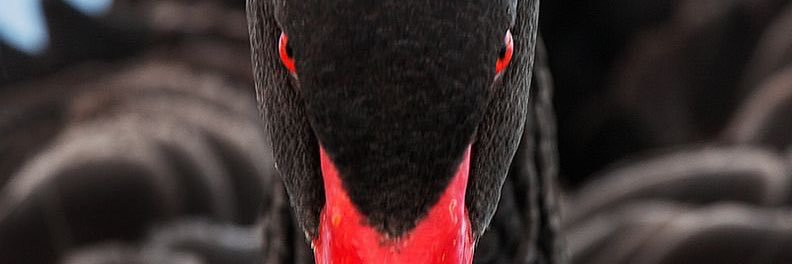 ChrisWeingand's profile banner image