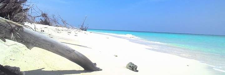 Prayoga_Okta's profile banner image