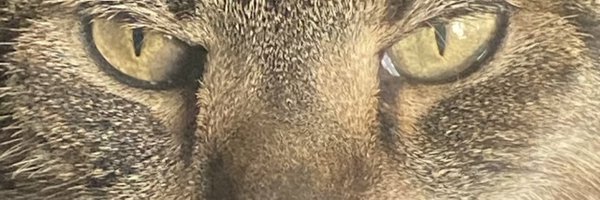 realRick_AUS Profile Banner