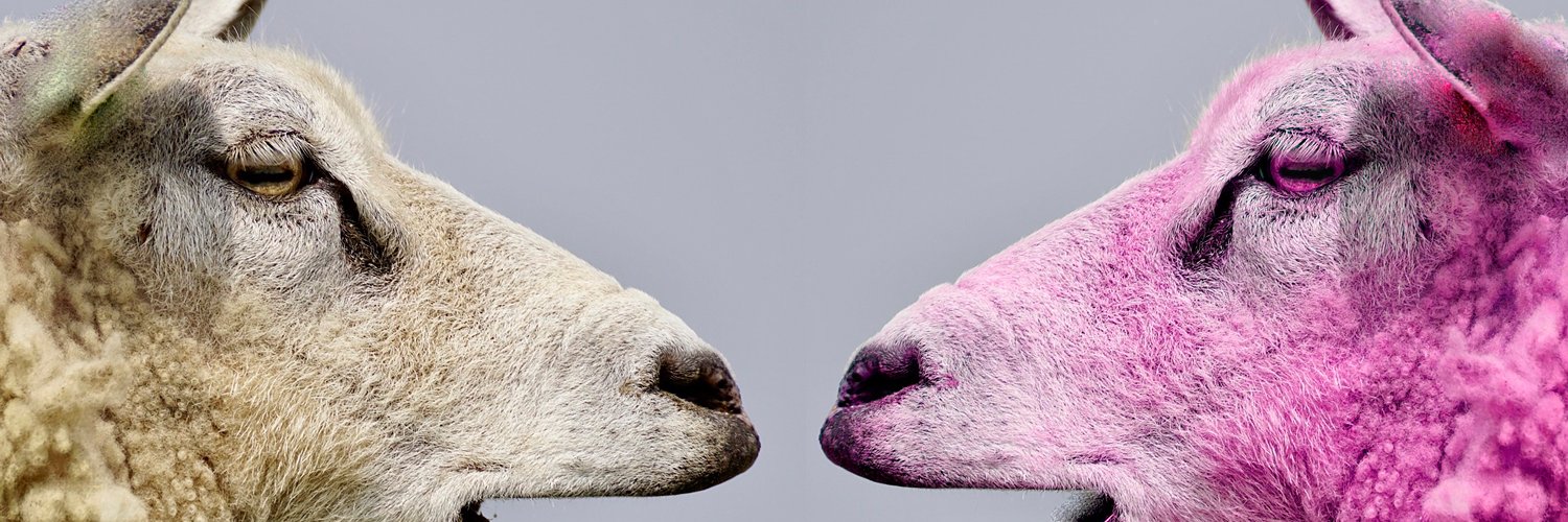 streezzoff's profile banner image