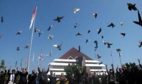 Berita IPB banner