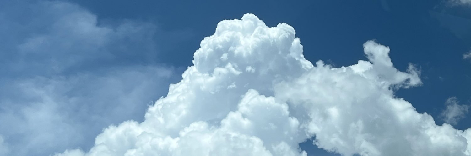 polaberber's profile banner image