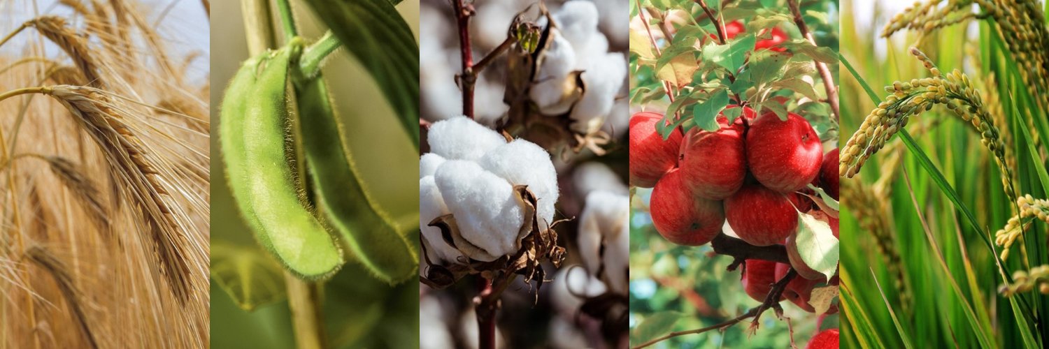 BASF Agricultural Solutions banner