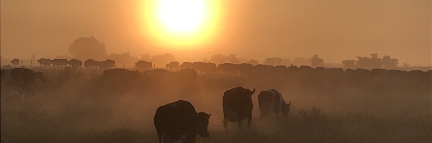 Mathew Crossman banner