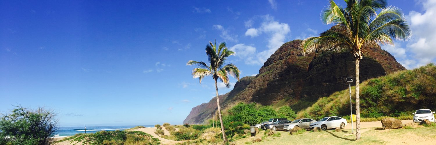 Dr Simon Hendel banner