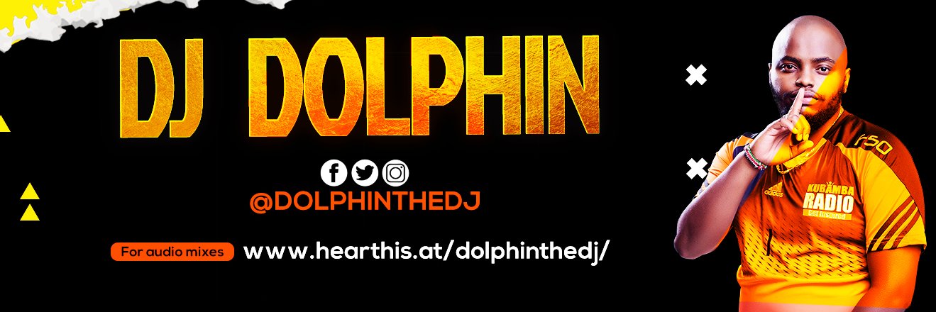 Dolphinthedj banner