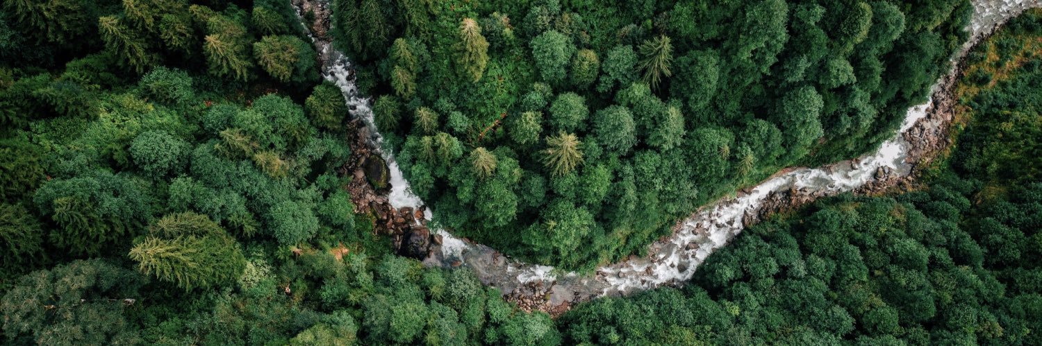 Roots for Sustainability (R4S) banner