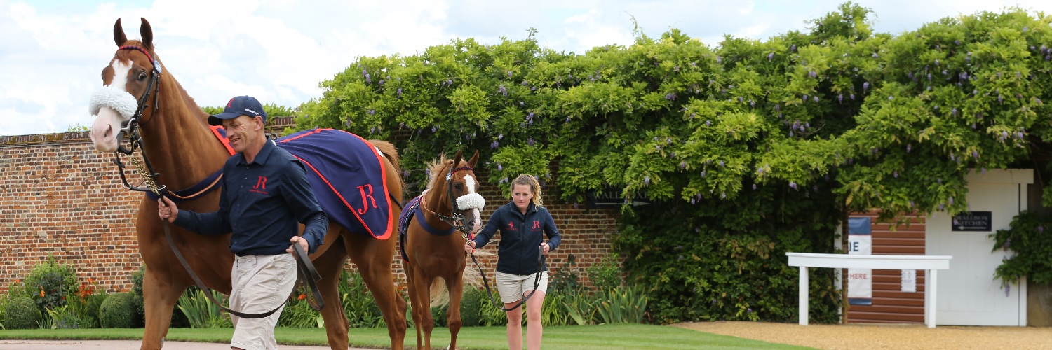 Jamie Railton Sales Agency banner