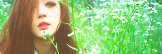 sullinol's profile banner image