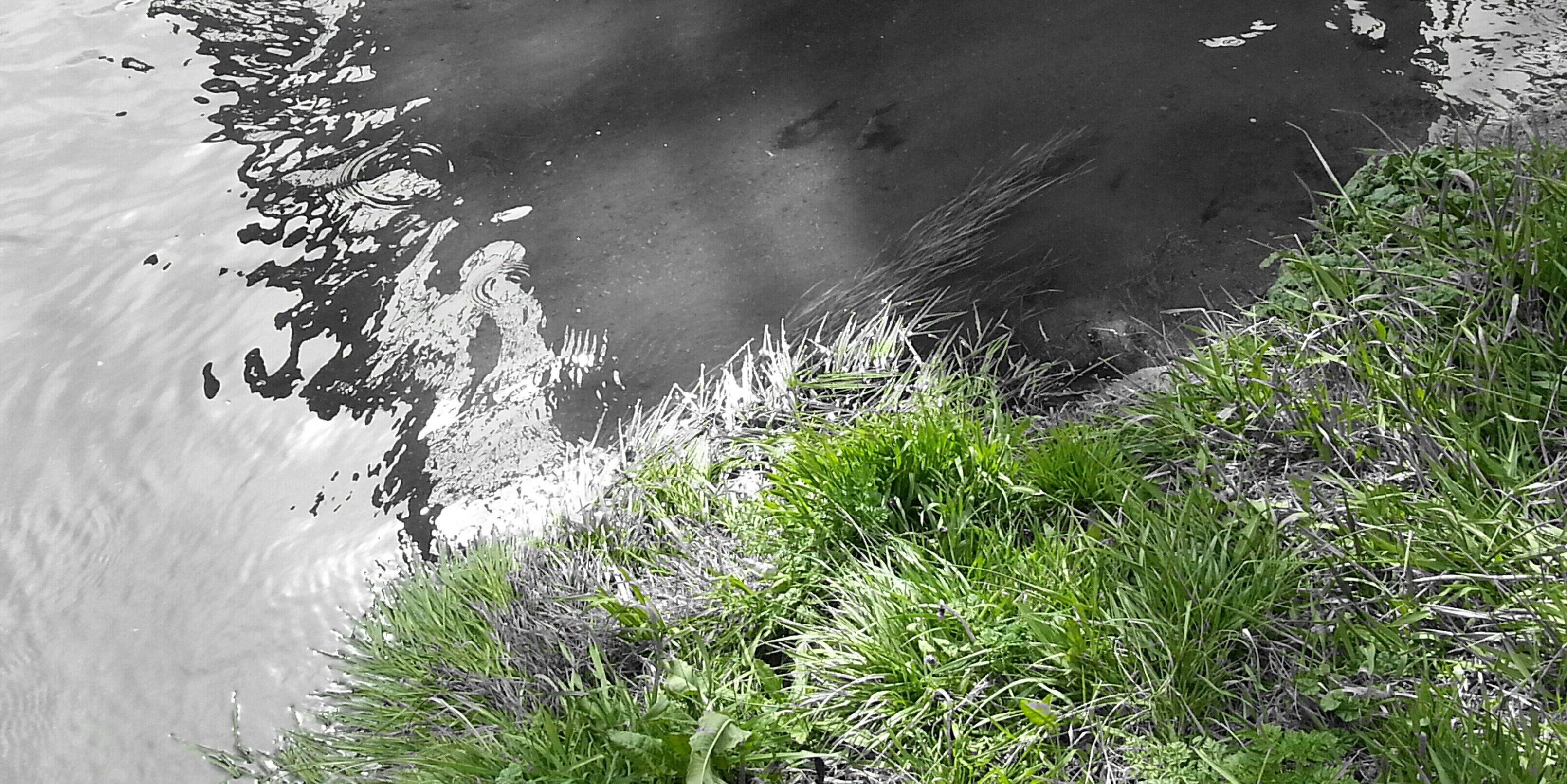 Tayshima1's profile banner image