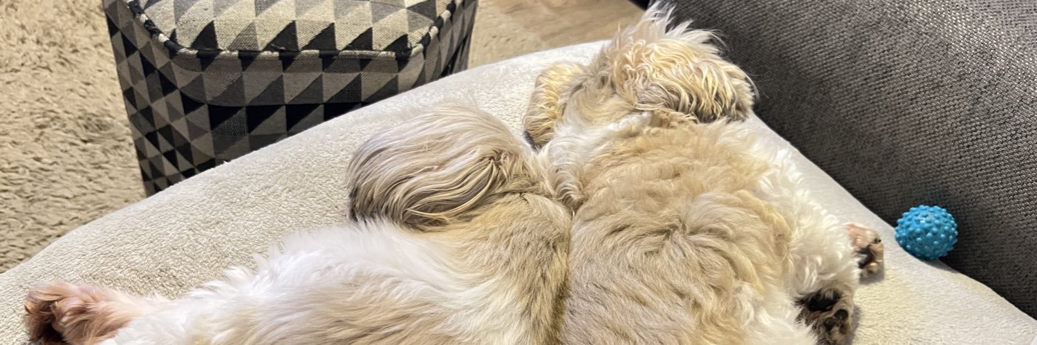 Mark Maddison banner