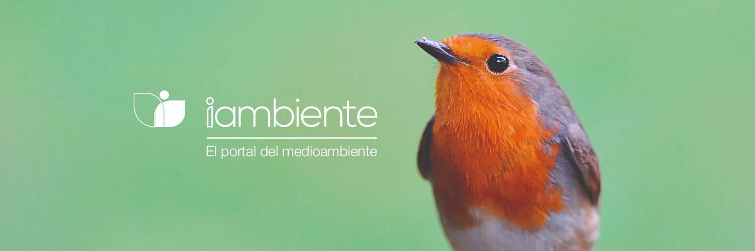 iambiente banner