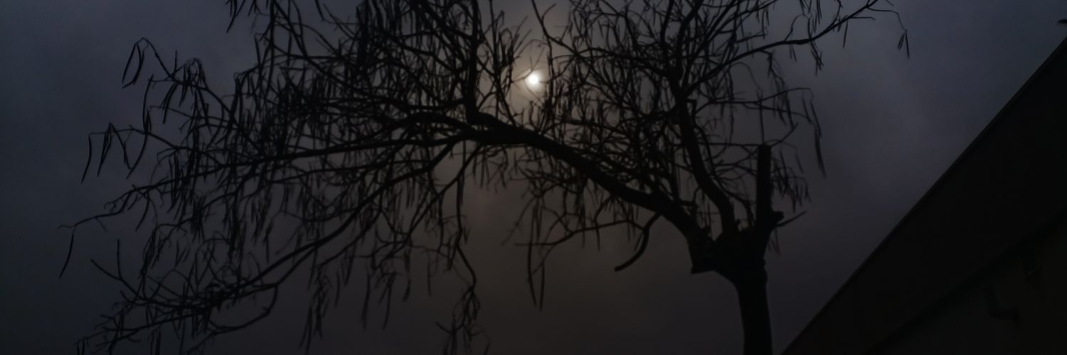 SungurBegm's profile banner image