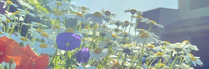 awono1's profile banner image