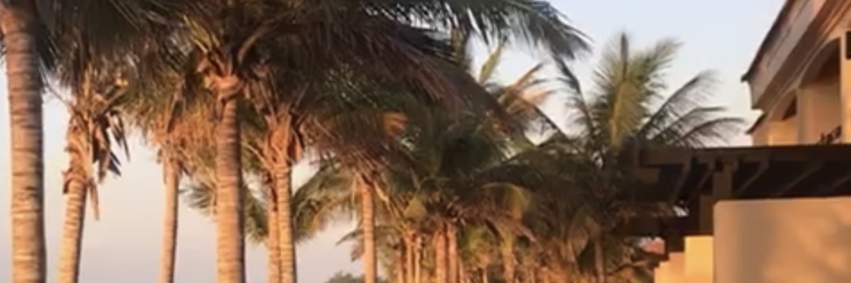 MashileLouis's profile banner image