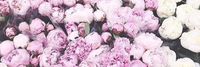 _melissaclaire_'s profile banner image