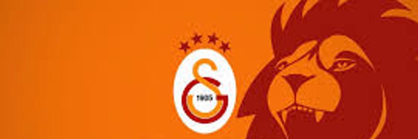 Berkaybasgan's profile banner image