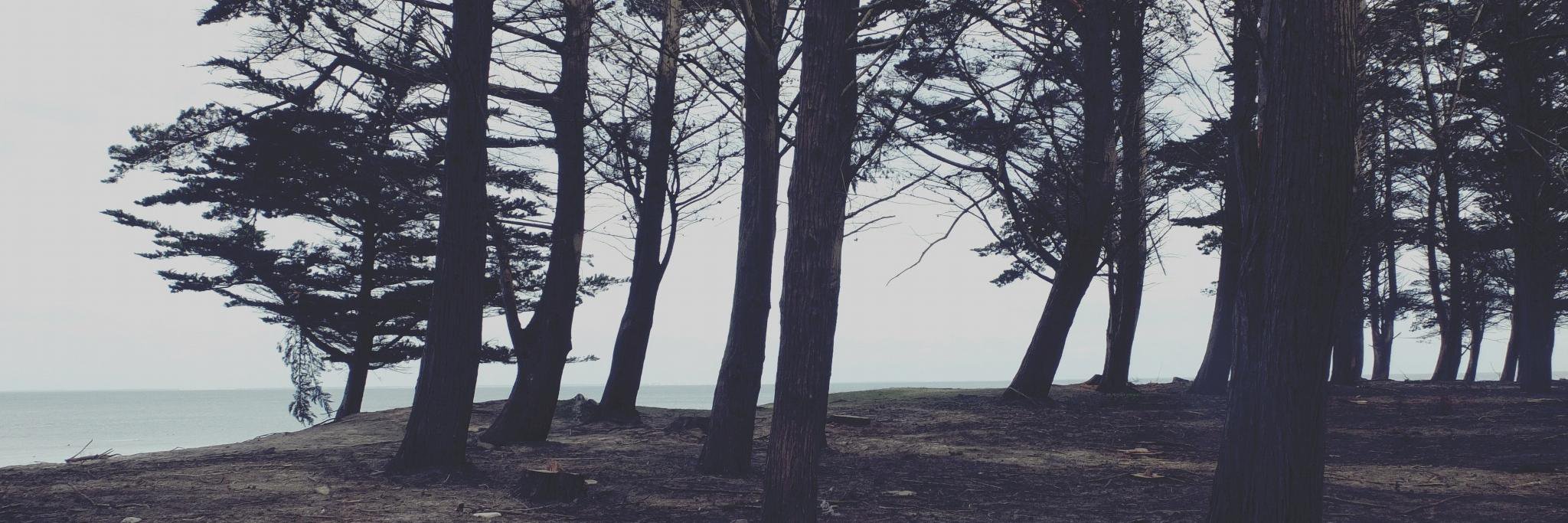 IronwillWilson's profile banner image