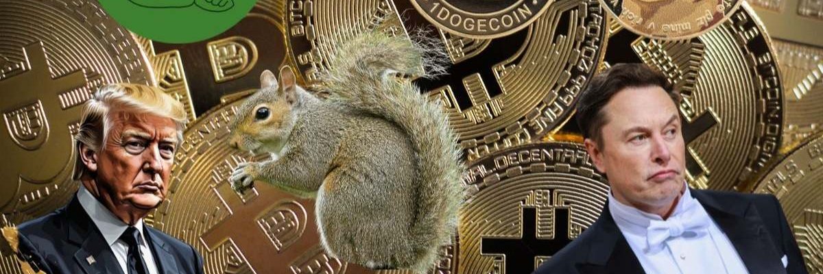 TradingPensador's profile banner image