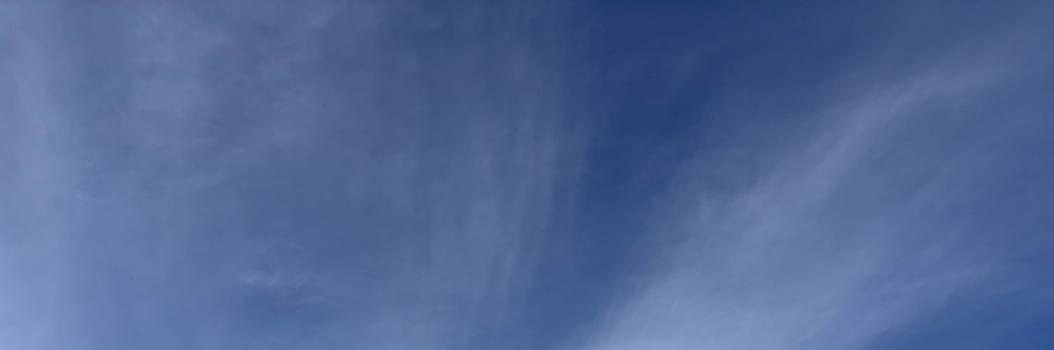 "BoBo"👽(shapeshifter) banner