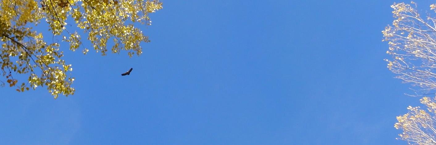 luis_seijo's profile banner image