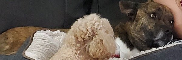 HolyShitItsWade Profile Banner