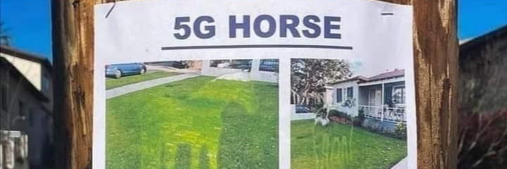 theturinghorse's profile banner image