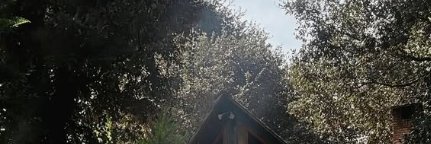 marisantaa_'s profile banner image