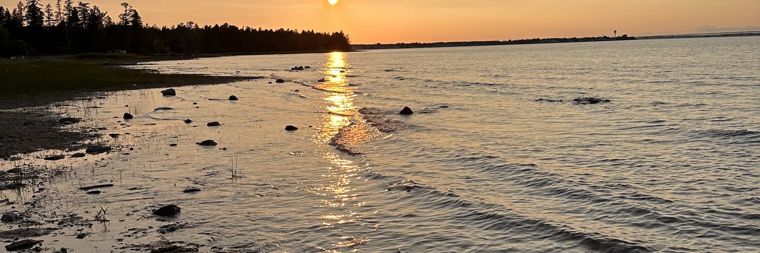 Astrid Wallin Fossum (she/her) banner