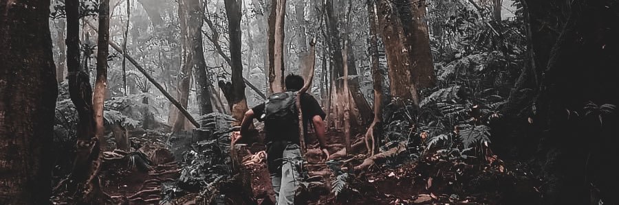 Wembo416's profile banner image