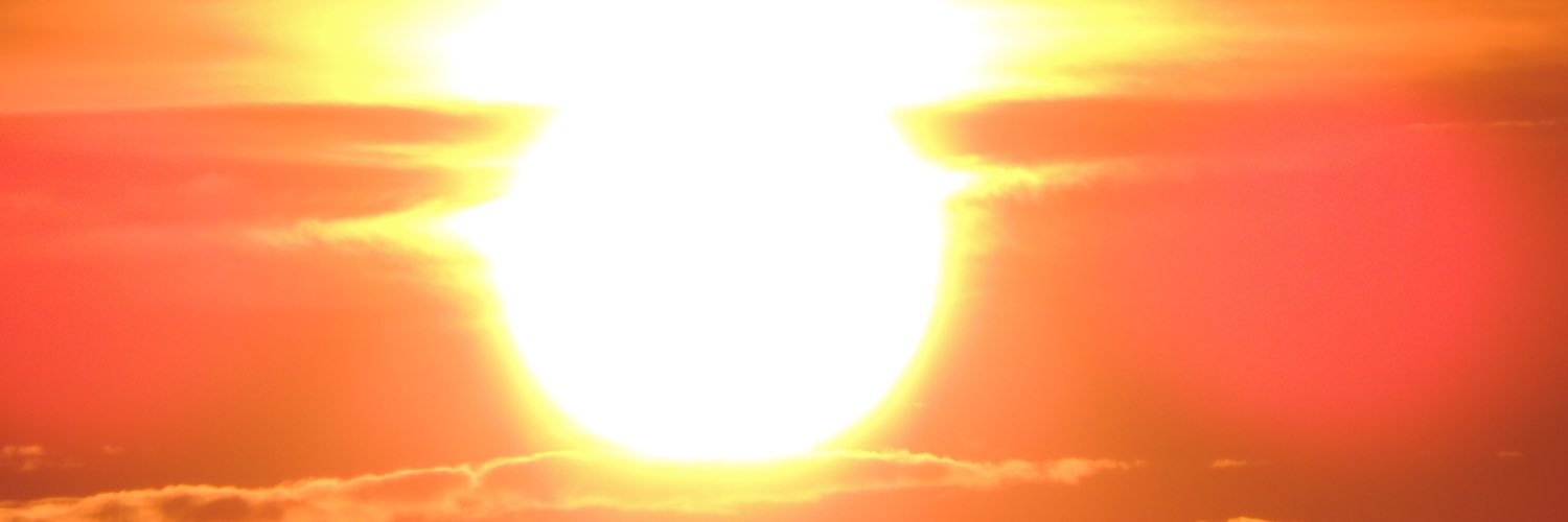 ginpasinik's profile banner image