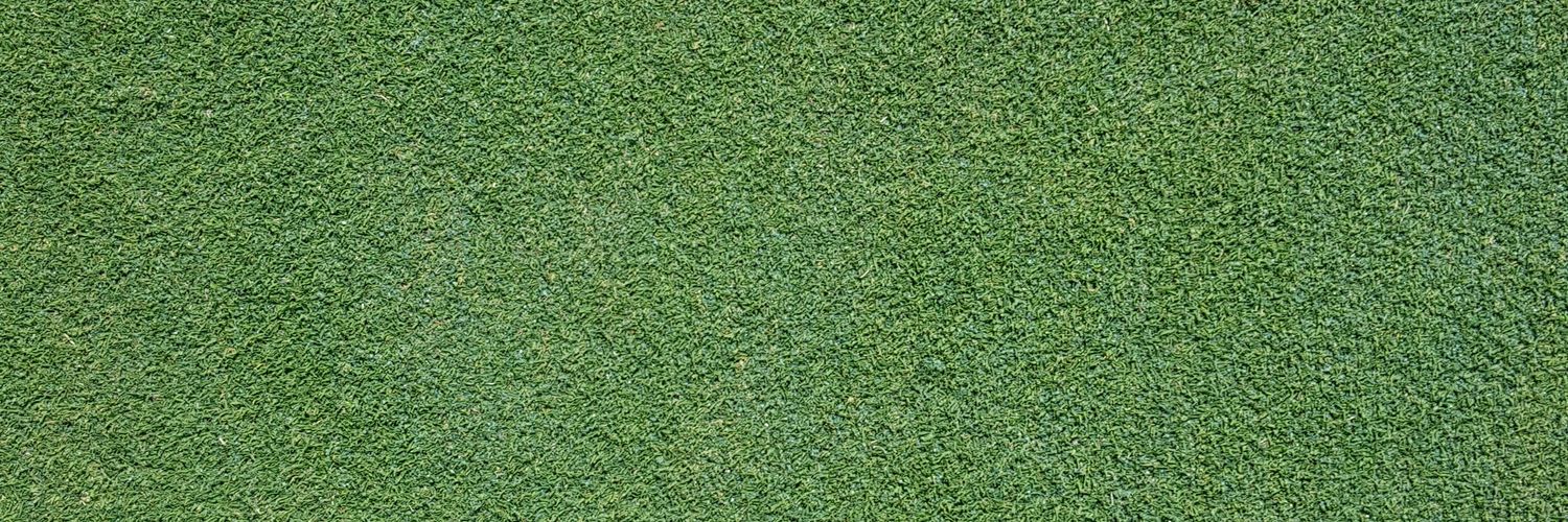 Natasha Restuccia banner