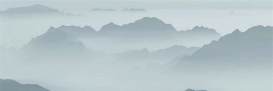 Tonnny banner