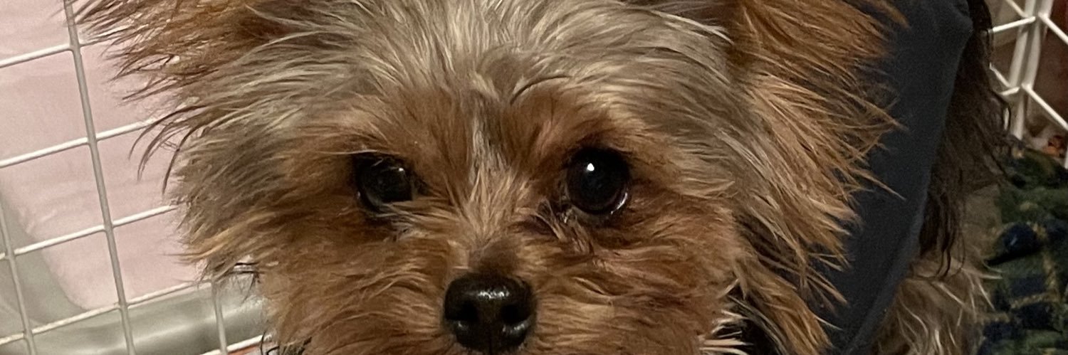 minnie4925's profile banner image
