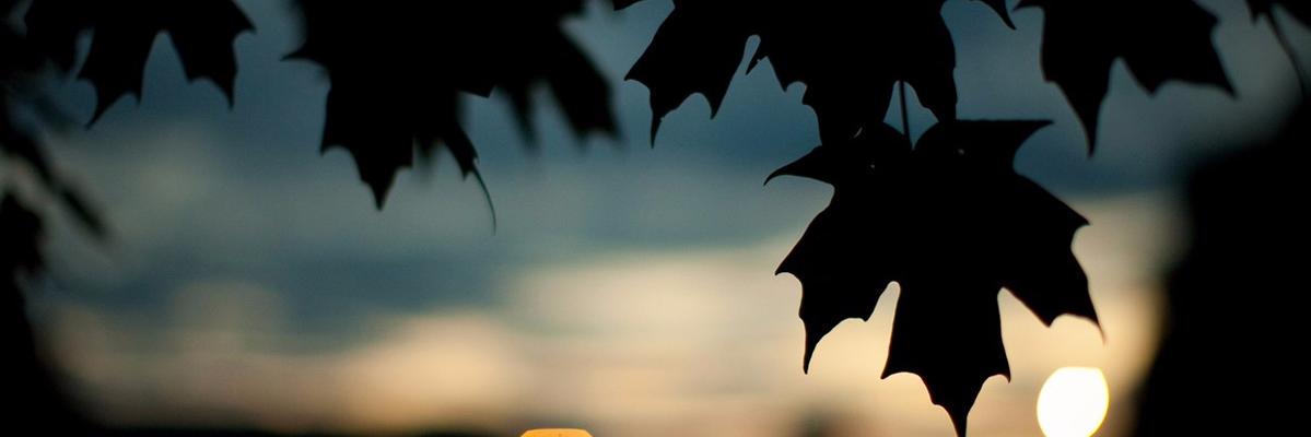 reyeskirk's profile banner image