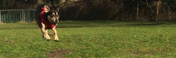 expatwallace Profile Banner