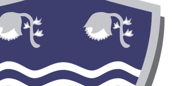 DVHSClassof2022's profile banner image