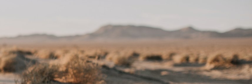 Daniel Deuschle banner