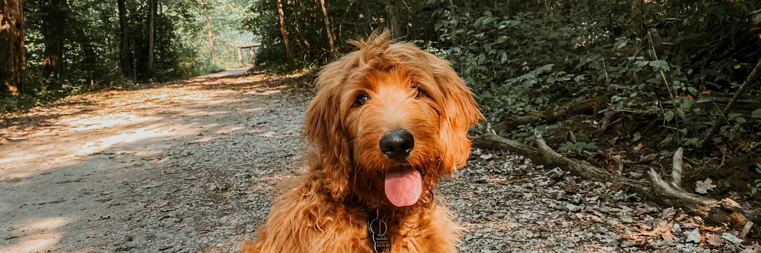 kendramproctor's profile banner image