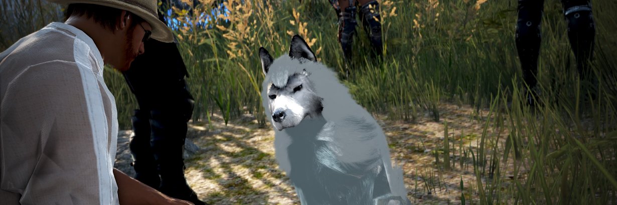 0x0wls's profile banner image