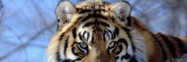 Typhaine_Hrt's profile banner image
