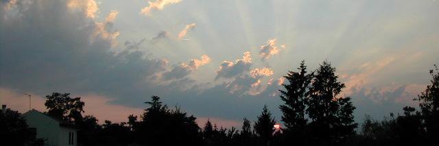 franjangle's profile banner image