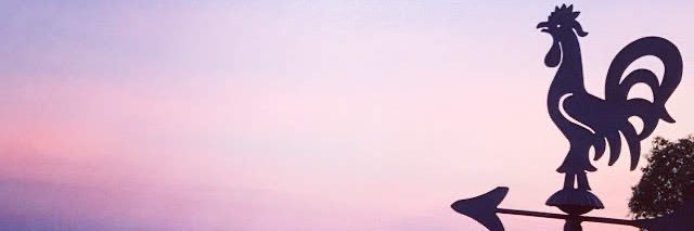 mayachijpnow's profile banner image