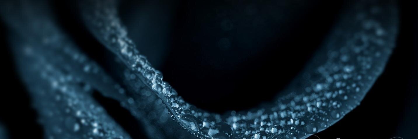 RaviTheLavi's profile banner image